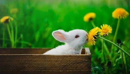 张帅三盘险胜克鲁格 晋级将战莱巴金娜